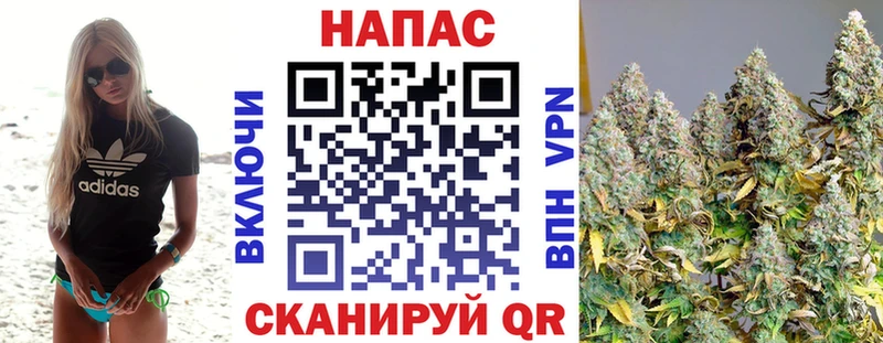 Как найти закладки Новосокольники Галлюциногенные грибы  Метадон  Конопля 