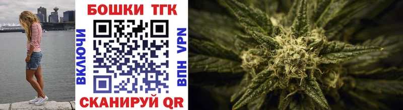 закладка  Новосокольники  Бошки марихуана OG Kush 